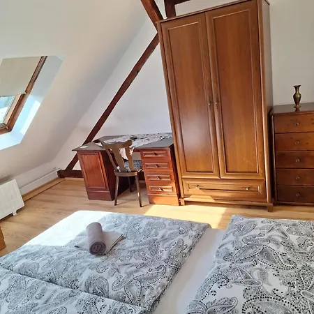 Star 피에슈타니